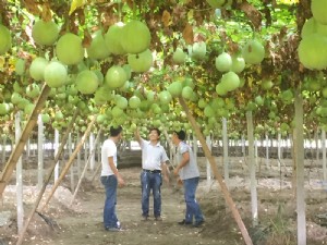 天寶2號基地展示