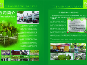 天寶瓜蔞種植技術(shù)指導(dǎo)