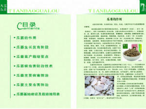 天寶瓜蔞種植技術(shù)指導(dǎo)