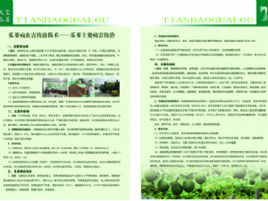 天寶瓜蔞種植技術(shù)指導(dǎo)