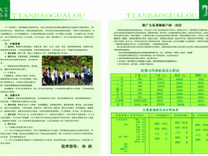 天寶瓜蔞種植技術(shù)指導(dǎo)